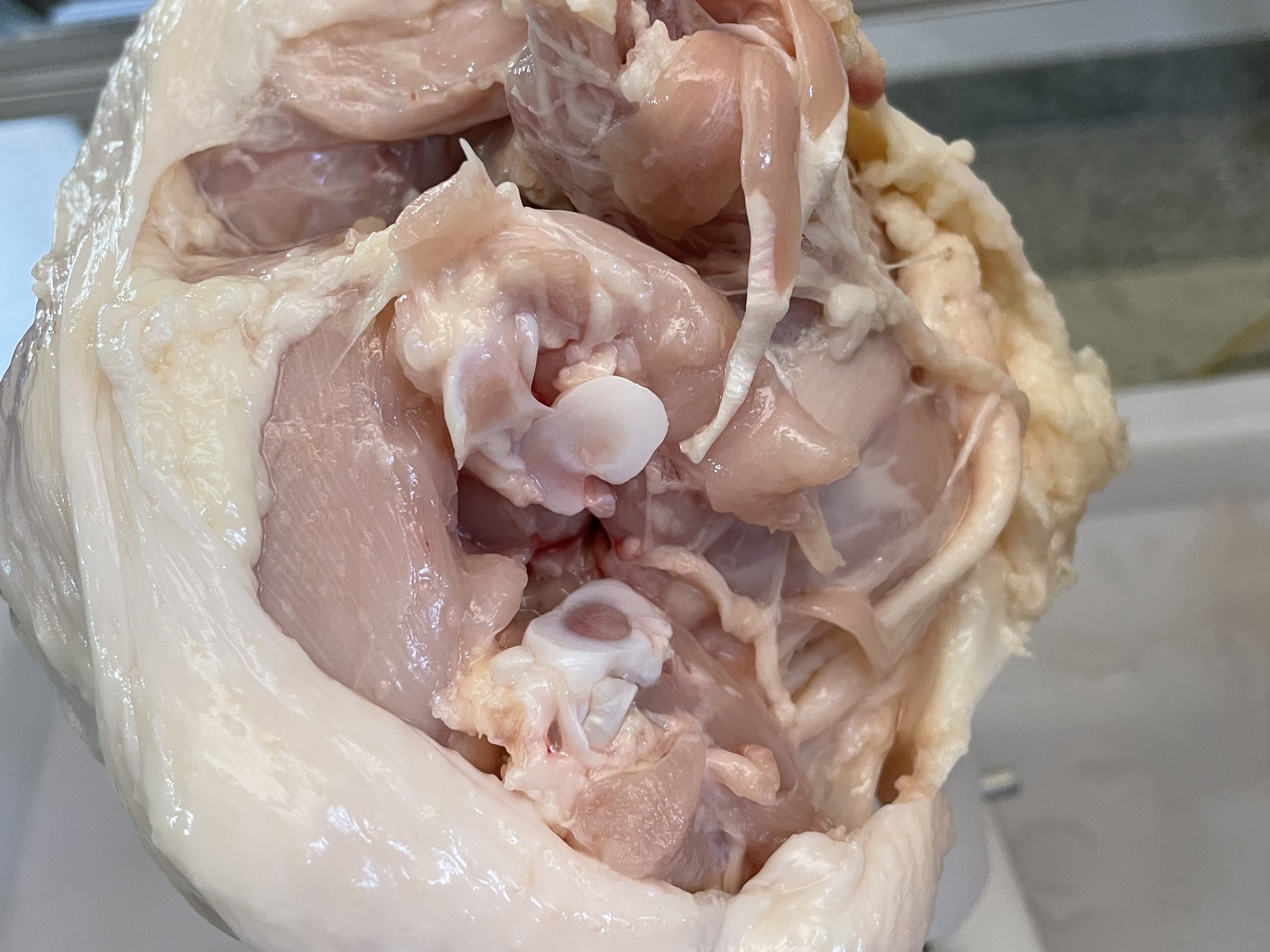 Chicken shoulder adaptive w/o force result 2