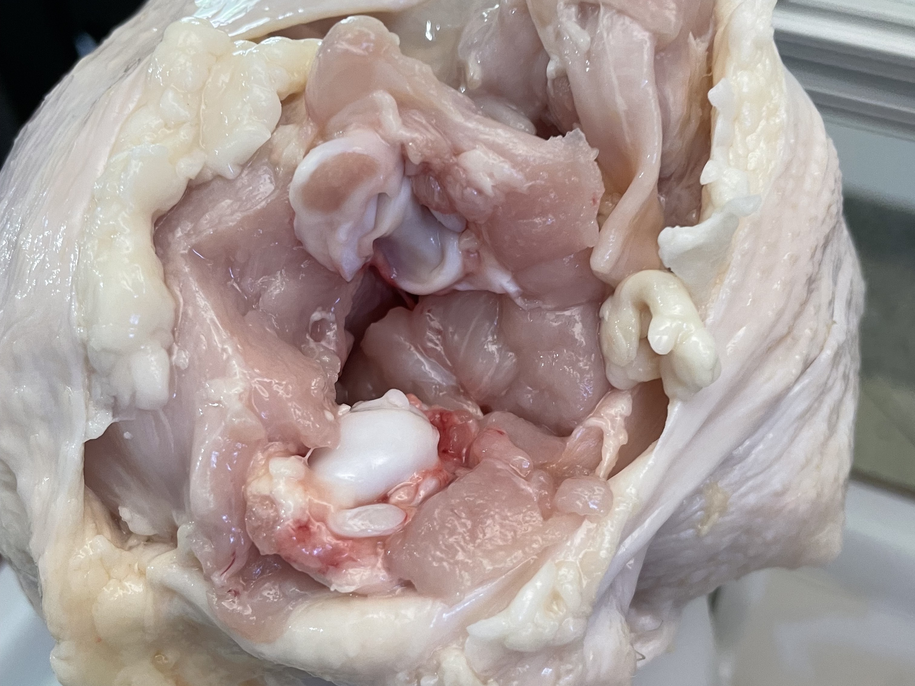 Recent cutting method result 2