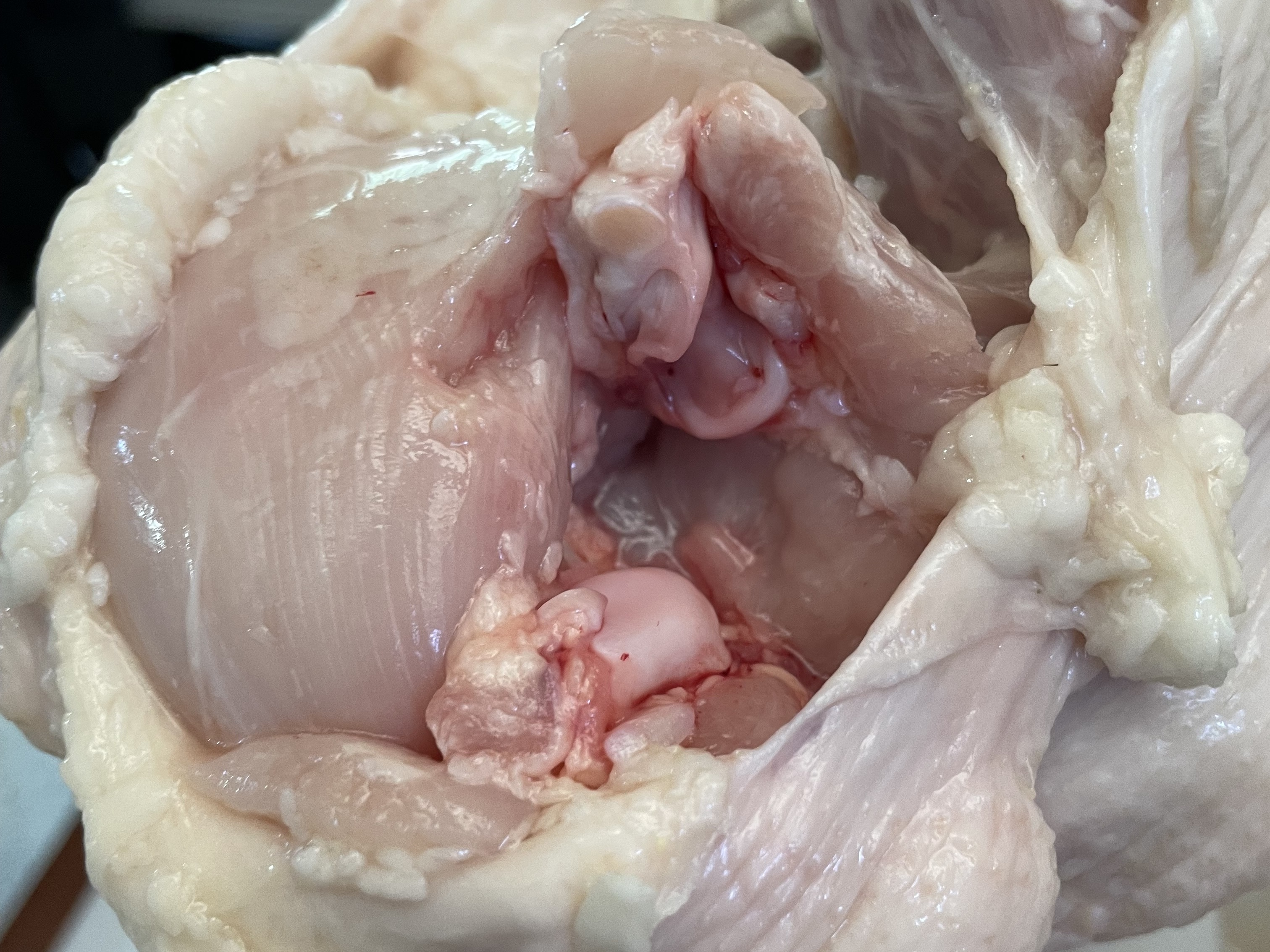 Recent cutting method result 3