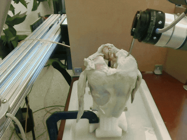 Chicken shoulder nominal result 1