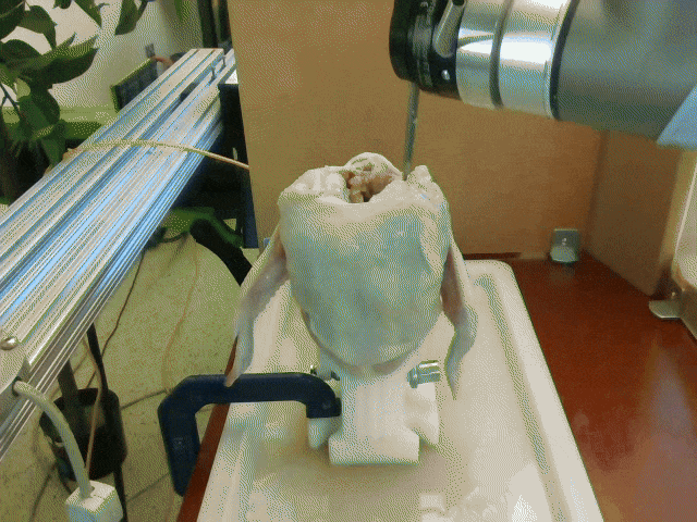 Chicken shoulder nominal result 3