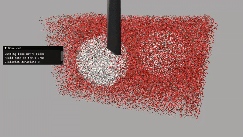 Contribution 1 - Custom Simulator